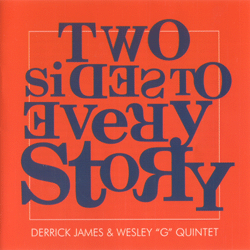 Schallplatte Two Sides Story Derrick James and Wesley G